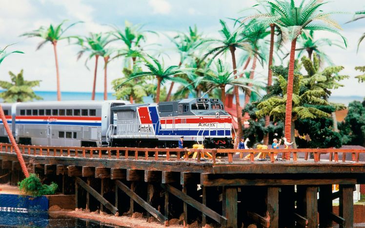 Amerika Amtrak Palmen