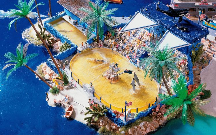 Amerika Delfinarium Oben