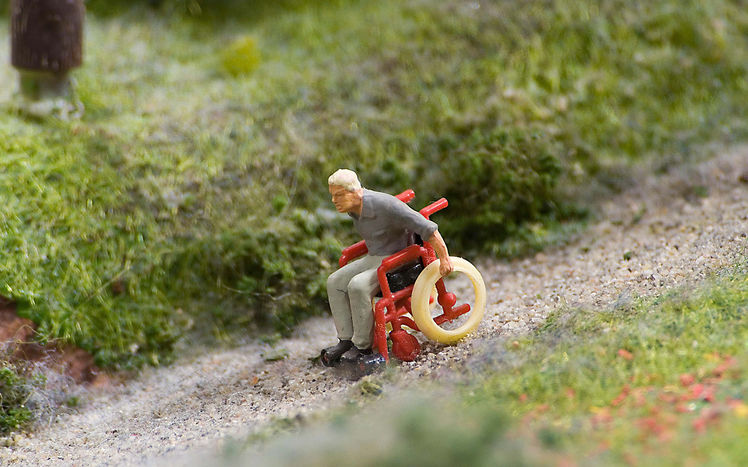 Content Rollstuhlfahrer Preiser