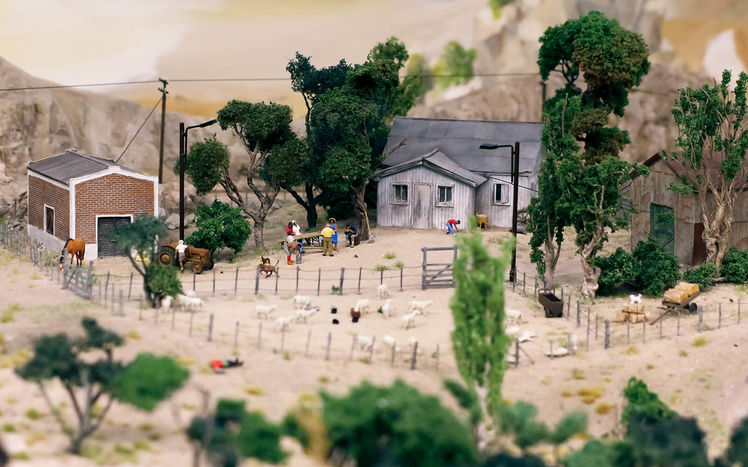 Patagonien farmer detail 01