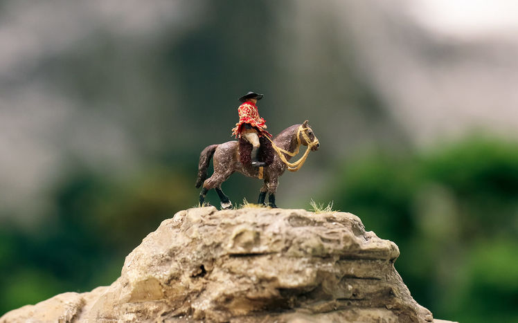 Patagonien gaucho los altares detail 02