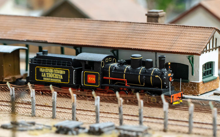 Patagonien jacobacci latrichota 14