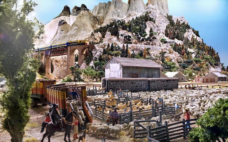 Patagonien Torresdel Paine Schafe