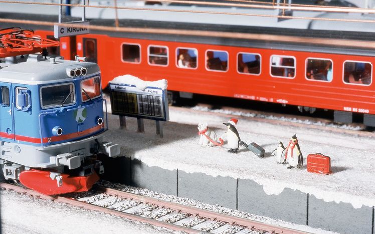 Skandinavien Pinguine