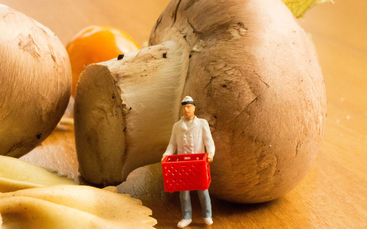 Sonderveranstaltung Kuli Preiser Korb