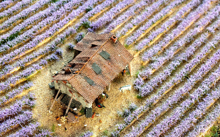 Welt von oben provence lavendel haus