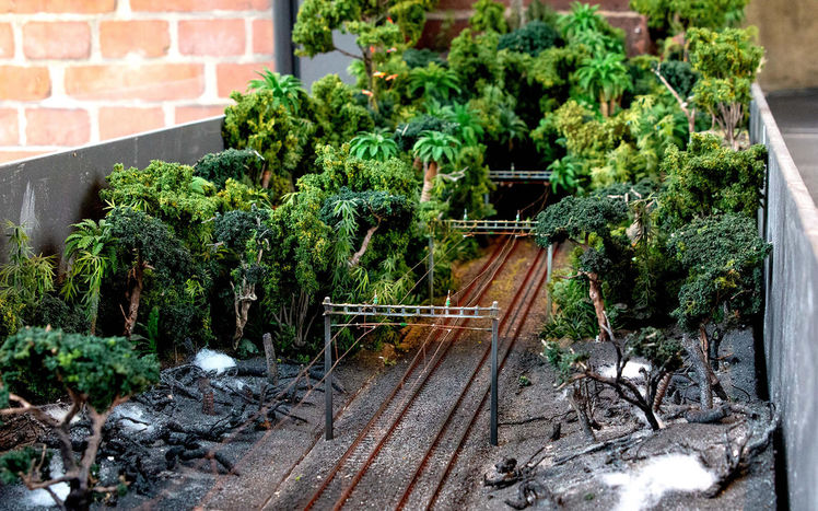 Welt von oben regenwald tunnel