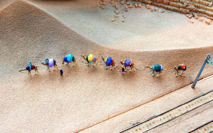 Welt von oben wueste kamele